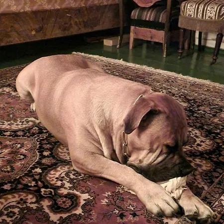 Сasa de vacaciones Historic Lords By Mandal River Marnardal