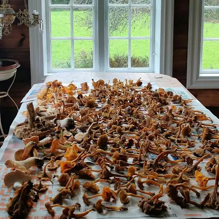 Сasa de vacaciones Historic Lords By Mandal River *