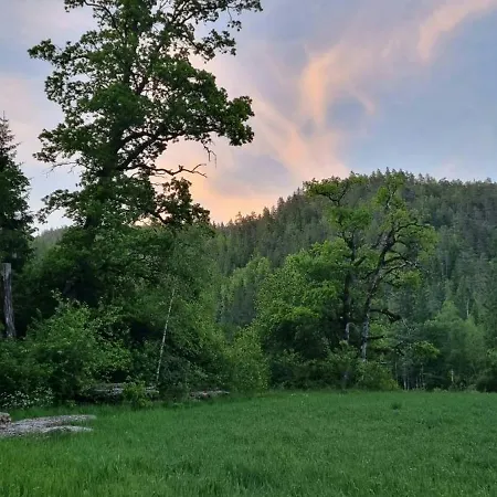 Historic Lords By Mandal River * Marnardal