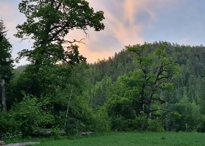 Historic Lords By Mandal River * Marnardal